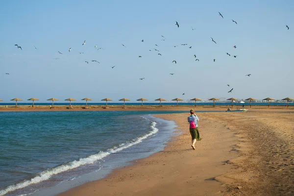 Mısır 'ın Hurghada kentindeki Kızıl Deniz manzaralı plajda gün batımı