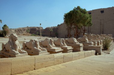 KARNAK TEMPLE - Mısır 'ın hiyeroglifleri ve antik sembolleri olan güzel yerlerinde büyük sütunlar. Nil Nehri ve Lüksör, Mısır yakınlarındaki dünyanın ünlü simgesi.
