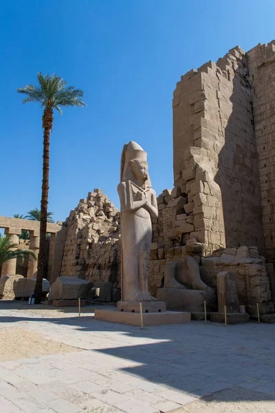 卡尔纳克主题 巨大的柱子内美丽的埃及地标 象形文字和古老的符号 世界上靠近尼罗河和埃及卢克索的著名地标 — 图库照片