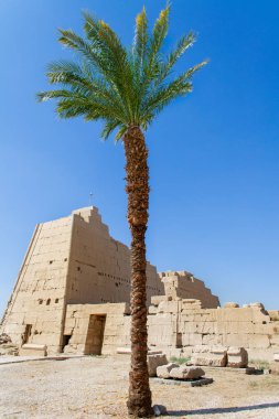 KARNAK TEMPLE - Mısır 'ın hiyeroglifleri ve antik sembolleri olan güzel yerlerinde büyük sütunlar. Nil Nehri ve Lüksör, Mısır yakınlarındaki dünyanın ünlü simgesi.