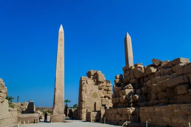 KARNAK TEMPLE - Mısır 'ın hiyeroglifleri ve antik sembolleri olan güzel yerlerinde büyük sütunlar. Nil Nehri ve Lüksör, Mısır yakınlarındaki dünyanın ünlü simgesi.