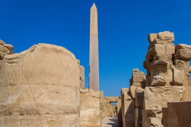 KARNAK TEMPLE - Mısır 'ın hiyeroglifleri ve antik sembolleri olan güzel yerlerinde büyük sütunlar. Nil Nehri ve Lüksör, Mısır yakınlarındaki dünyanın ünlü simgesi.