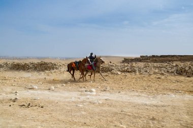 Kahire / Mısır - 09 Şubat 2021: Giza Piramitleri bölgesinde at süren bir atlı. Giza Piramitleri 'nde at binme ve deve binme gelenekleri gelenekseldir..