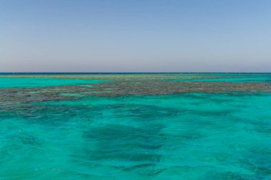 Kızıl deniz mercan resifi ve mavi gökyüzü. El Gouna, Mısır