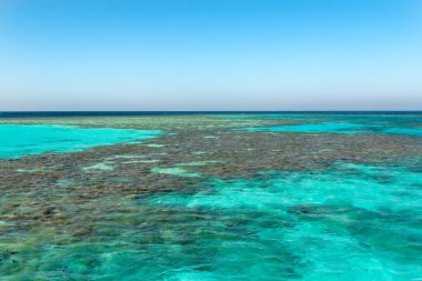 Kızıl deniz mercan resifi ve mavi gökyüzü. El Gouna, Mısır