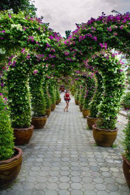 PATTAYA, THAILAND - 18 Ocak 2019 Milyonlarca Yıl Taş Parkı ve Pattaya Timsah Çiftliği.