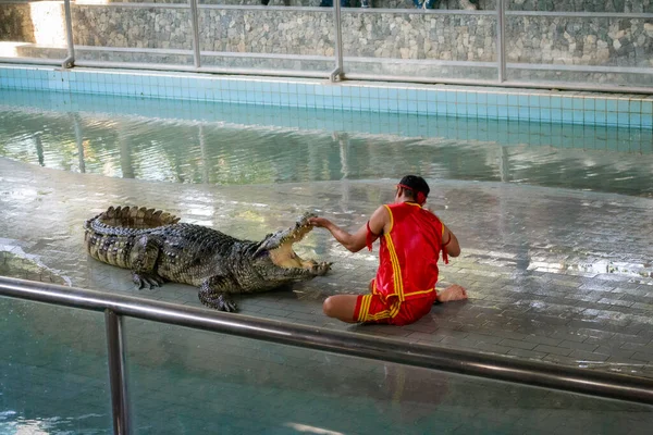 Pattaya Tajlandia Stycznia 2019 Tradycyjny Pokaz Krokodyli Tajlandii Million Lat Obraz Stockowy