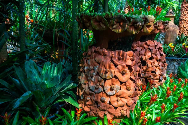 Ceramika Dekoracji Ogrodzie Nong Nooch Tropikalny Ogród Botaniczny Pattaya Tajlandia — Zdjęcie stockowe