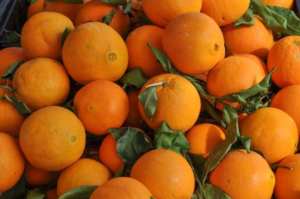 Naranja fruta de mandarina — Foto de Stock