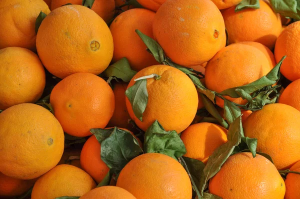 Fruta de tangerina laranja — Fotografia de Stock