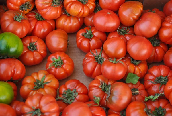 Červené rajče zelenina — Stock fotografie