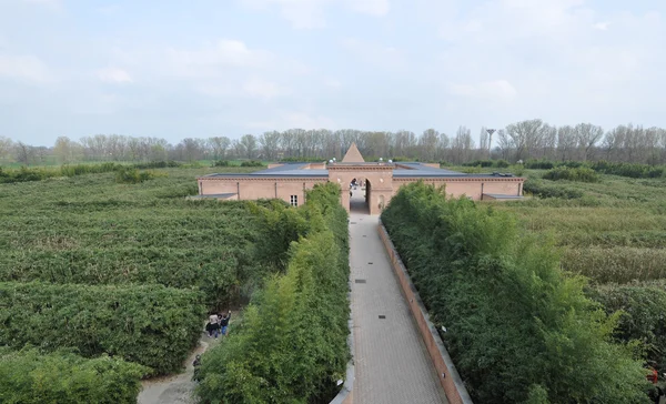 Labirinto Masone, Fontanellato, Italia — Foto Stock