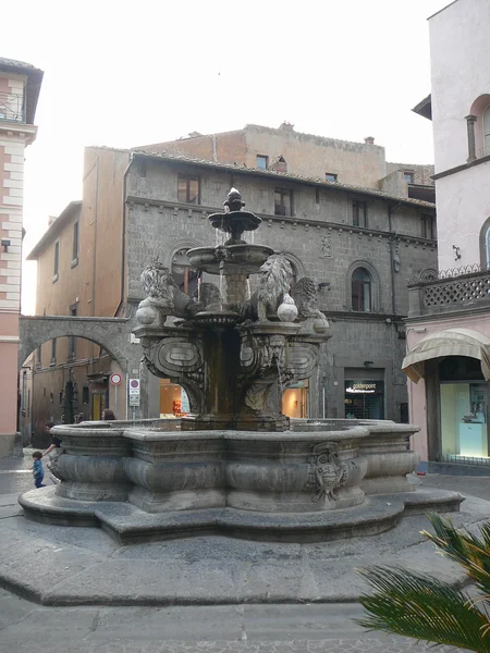 Fontana dei Leoni i Viterbo — Stockfoto