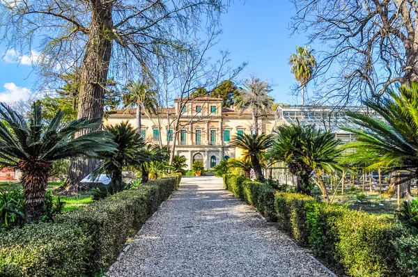 HDR Pisa botanical garden — Stock Photo, Image