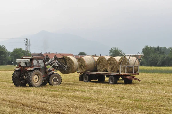 意大利 Circa 2020年5月 拖拉机装载田里用草包成的圆形干草 — 图库照片