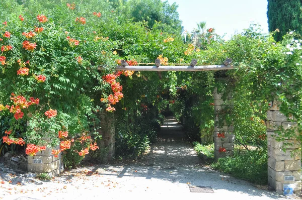 Ventimiglia Itália Circa Agosto 2020 Jardim Botânico Hanbury Mortola — Fotografia de Stock