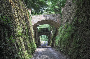 Castello del roccolo caraglio içinde
