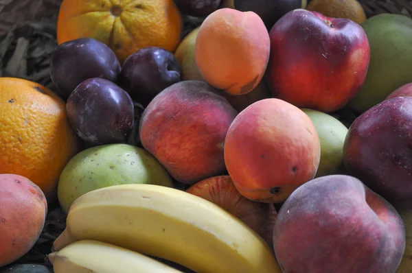 Fruit eten — Stockfoto