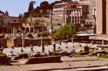 Roma Forumu, Roma