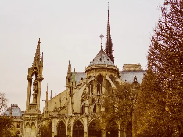 Retro vzhled notre dame Paříž — Stock fotografie