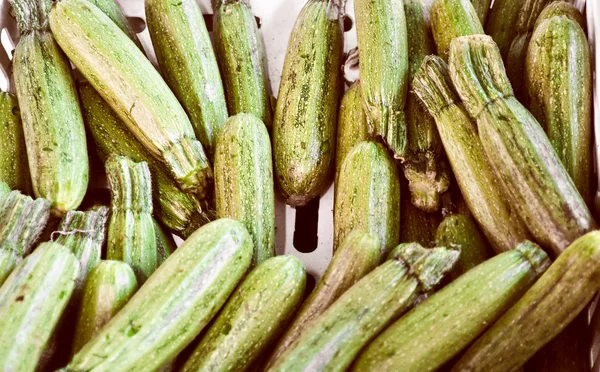 Zucchini mit Zucchini — Stockfoto