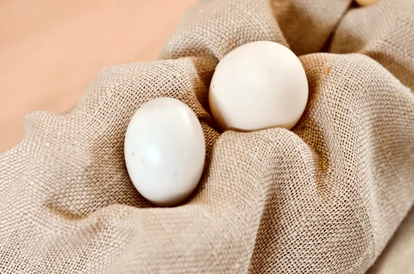 Eggs — Stock Photo, Image