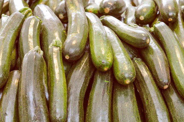 Zucchini mit Zucchini — Stockfoto