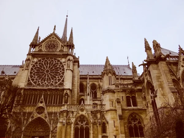 Olhar retrô Notre Dame Paris — Fotografia de Stock