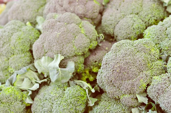 Retro-look broccoli grönsaker — Stockfoto