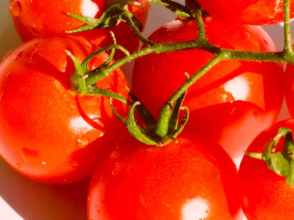 Pomidory w stylu retro — Zdjęcie stockowe