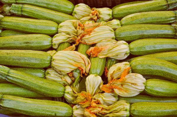 Calabacines calabacín — Foto de Stock