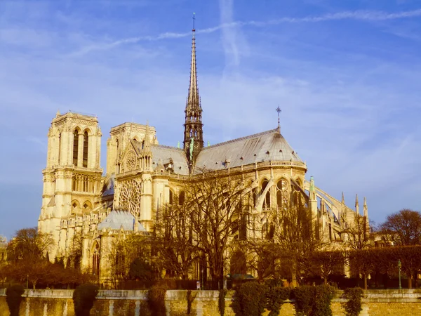 Olhar retrô Notre Dame Paris — Fotografia de Stock