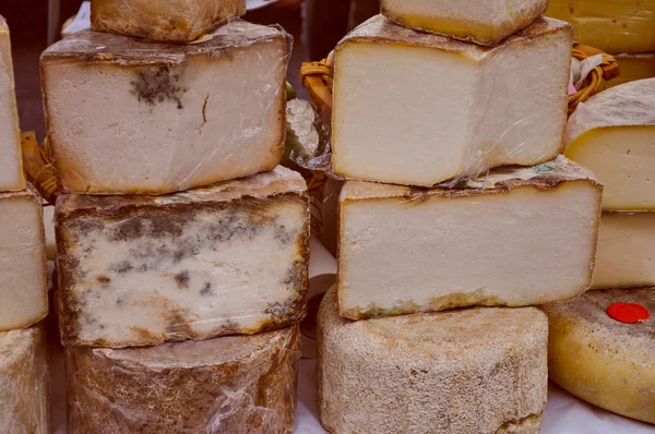 Castelmagno Cheese — Stock Photo, Image