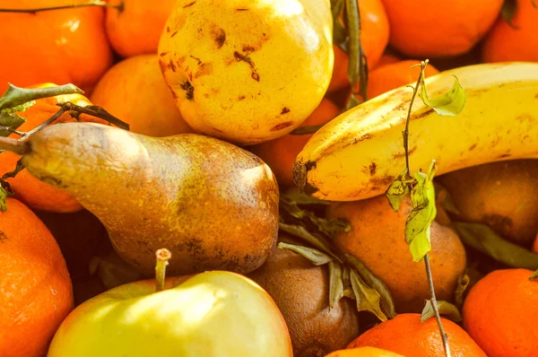 Frukt mat — Stockfoto