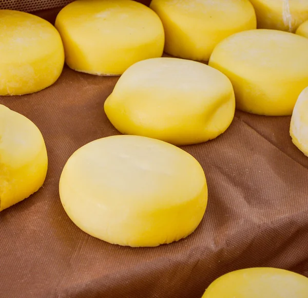 チーズ食品 — ストック写真