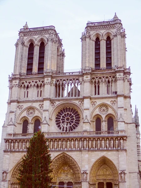 Look retrò Notre Dame Parigi — Foto Stock