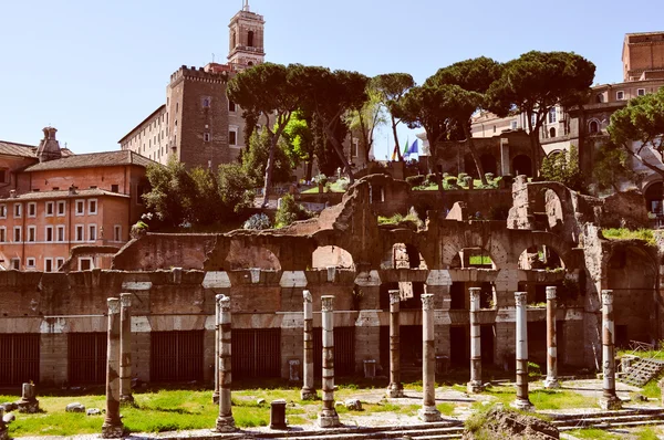 Forum Romanum, Rzym — Zdjęcie stockowe