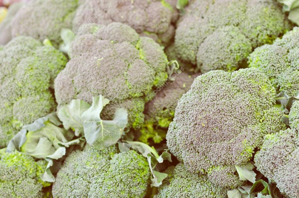 Broccoli vegetables — Stock Photo © scrisman 55626593