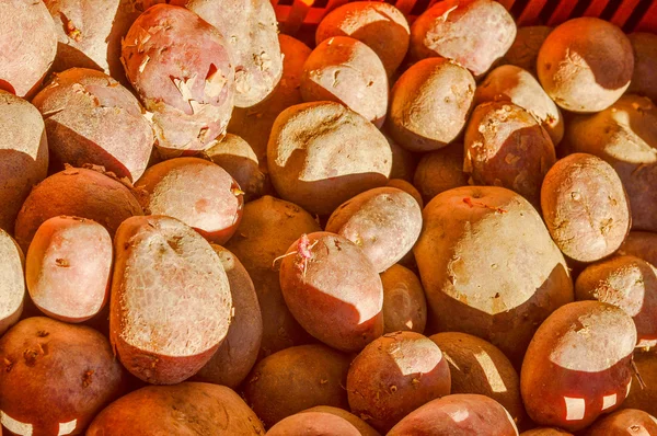 Potatis grönsaker — Stockfoto