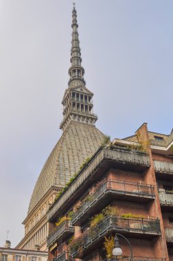 köstebek antonelliana turin