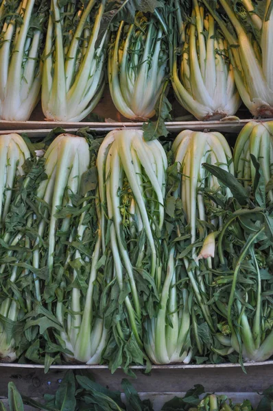 Celery vegetable — Stock Photo, Image