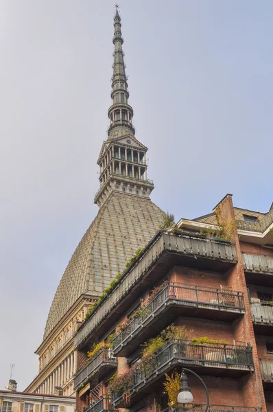 Köstebek antonelliana turin — Stok fotoğraf