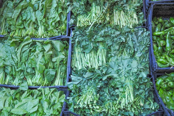 Verduras de hoja verde —  Fotos de Stock