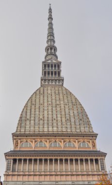 köstebek antonelliana turin