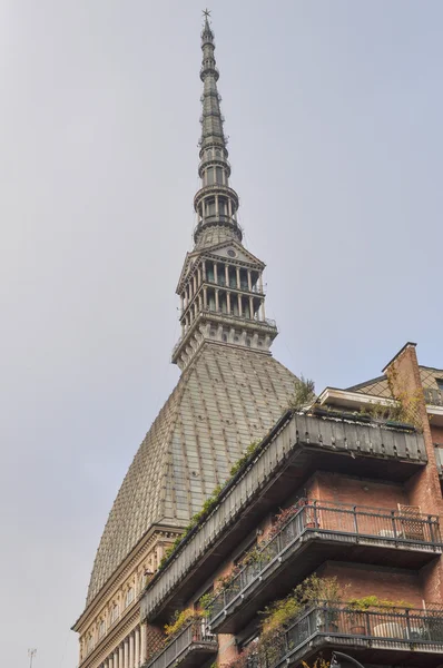 Köstebek antonelliana turin — Stok fotoğraf