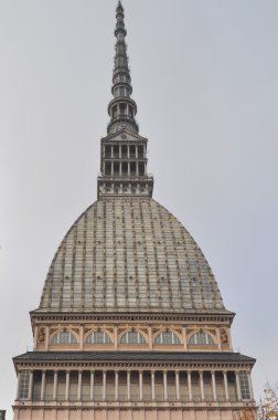 köstebek antonelliana turin