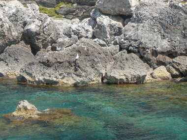 Mahon Minorca görünümünü