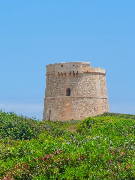 Vista de punta prima — Fotografia de Stock