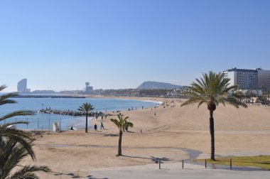 Bağlantı noktası Barselona'da Olimpiyat