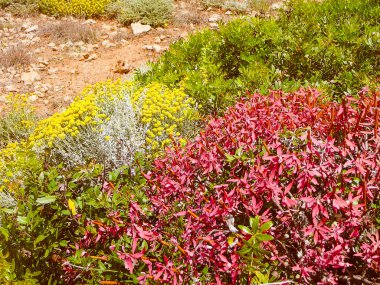 Retro görünüm Punta Prima görünümü